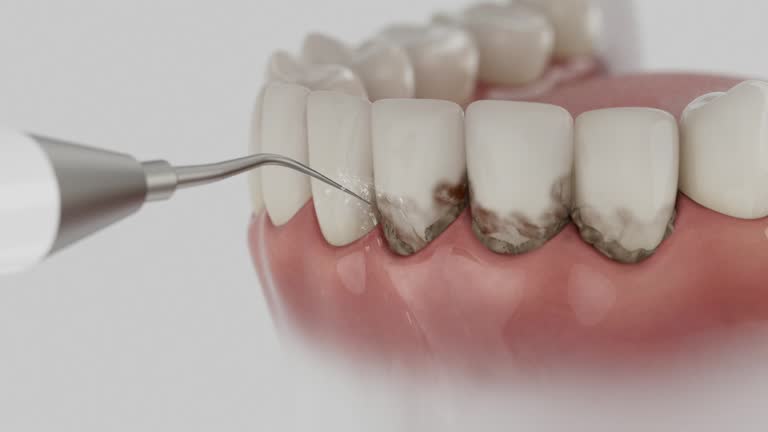 Reliable Dental contractor in Kentwood, LA by Dentist Open Now